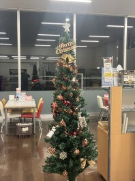 今年もクリスマスの季節が来ますね！